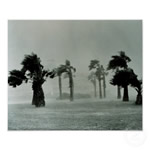 vadal i.e. hurricane