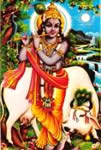 krishna